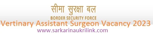 BSF